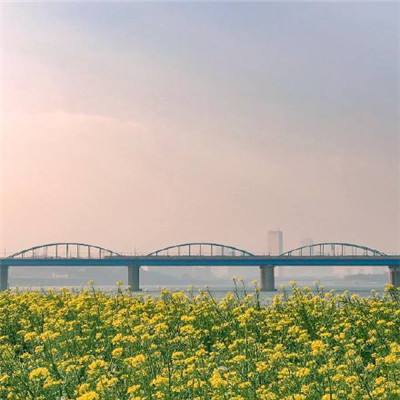 大梦闯江湖手游破解版下载