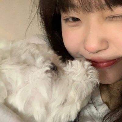 虎啸龙吟手游内购破解版下载